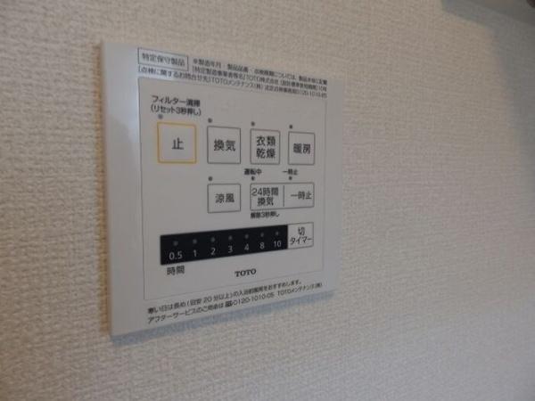 椿（つばき）