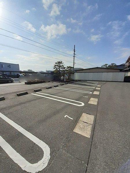 ピュアセルト森尾２