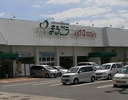 ムーンライトだいせん　Ａ棟(まるごうみのかや店)