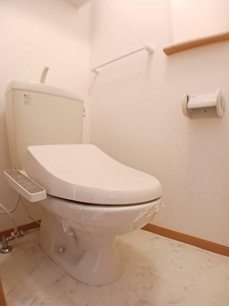 スプリングフィールドＢ