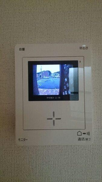 ラベンダー　Ｂ