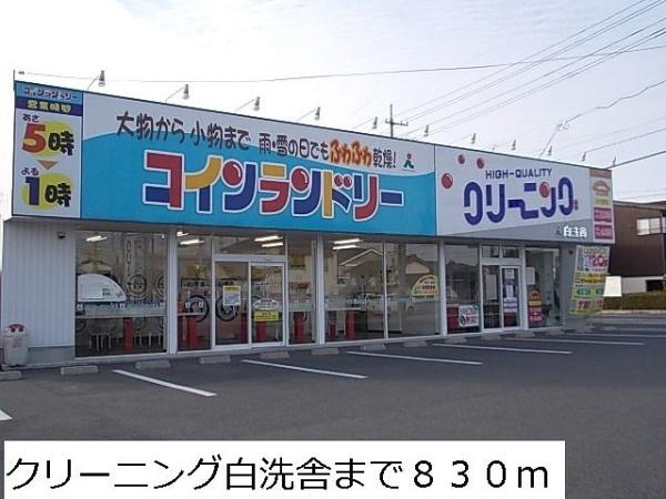 グレイス　ベル