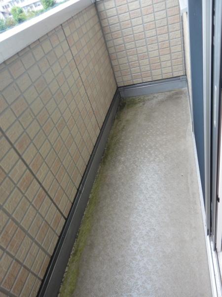 ハイライズ