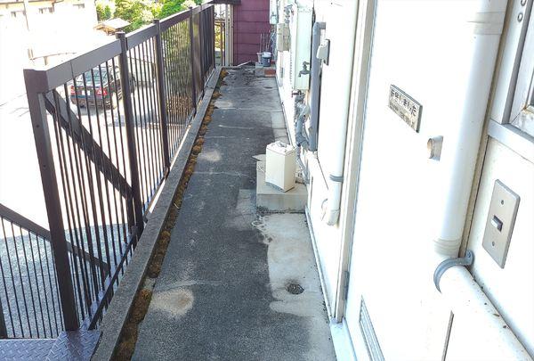 コーポ光陽(その他)