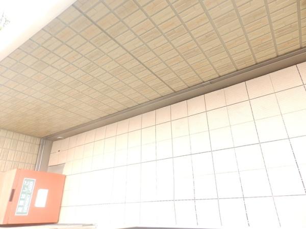 フェリース　サラ