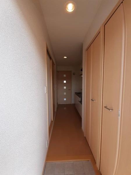 エレガントヴィエ２