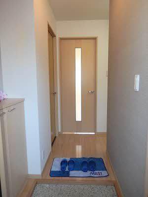 タートルテイル