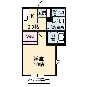 タートルテイル