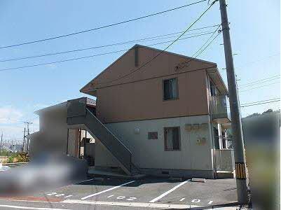 タートルテイル