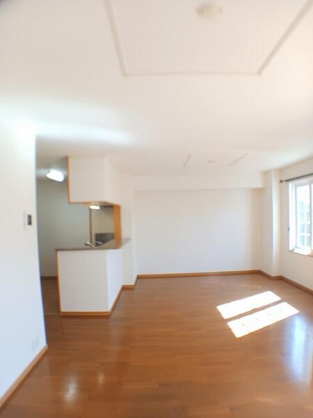 ソル デル フリオ B(その他)