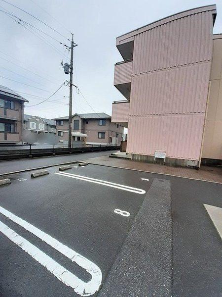 ピュア　セルト森尾