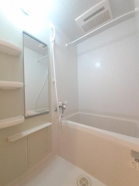 ピュアセルト森尾２