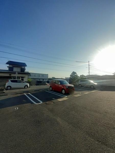 ピュアセルト森尾２