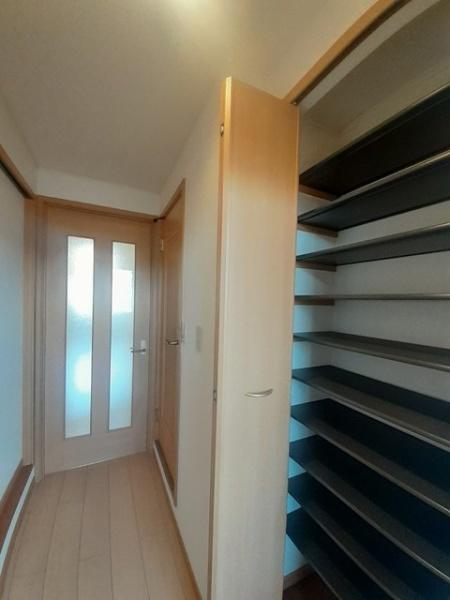 ピュアセルト森尾２