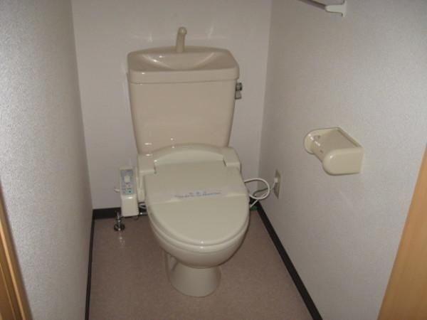 スカイマンション D(トイレ)