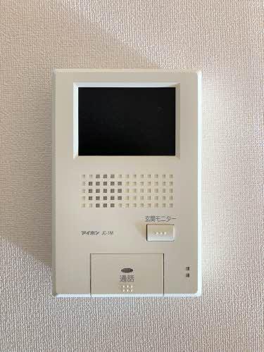 タートルテイル