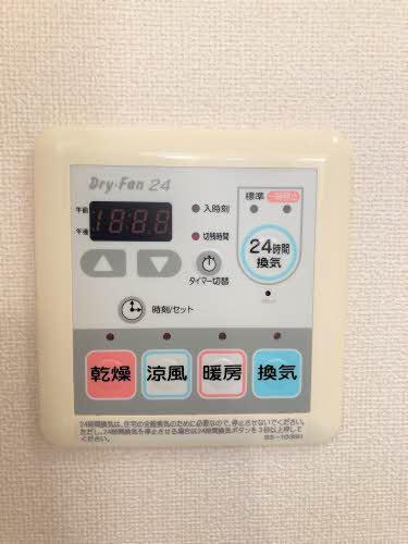 タートルテイル