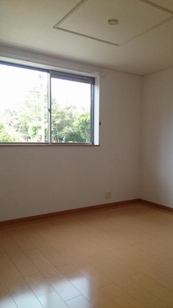 チェリーブロッサム