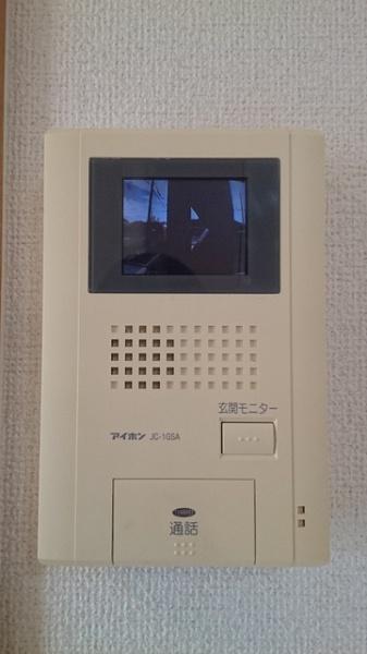 チェリーブロッサム