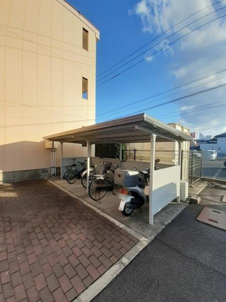 ピュア　セルト森尾