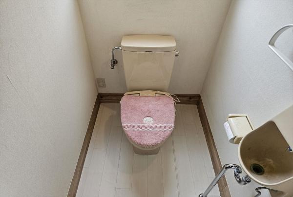 伯耆町溝口借家