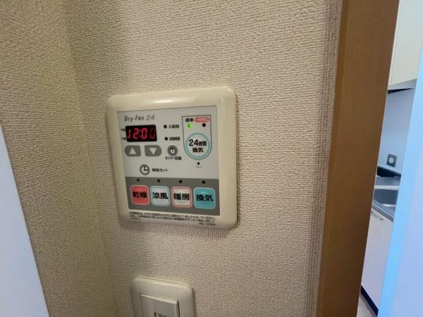 タートルテイル
