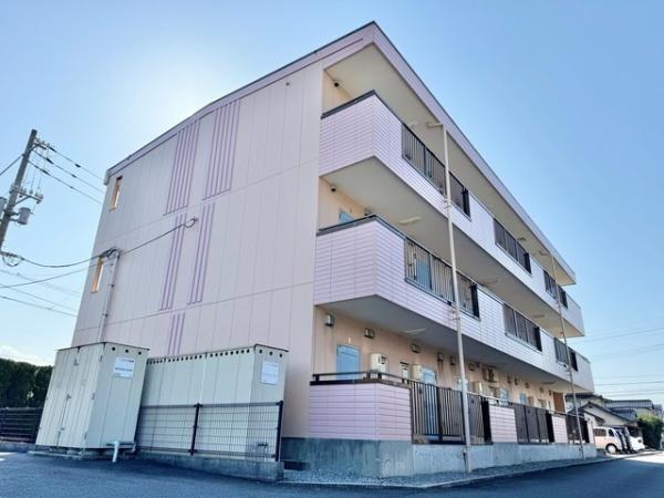 ピュアセルト森尾