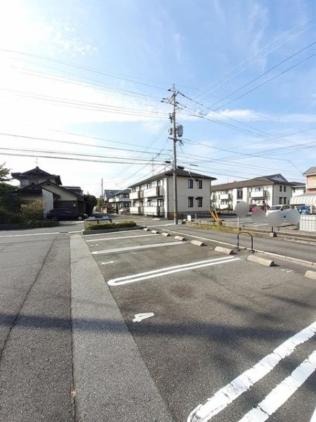 ピュアセルト森尾