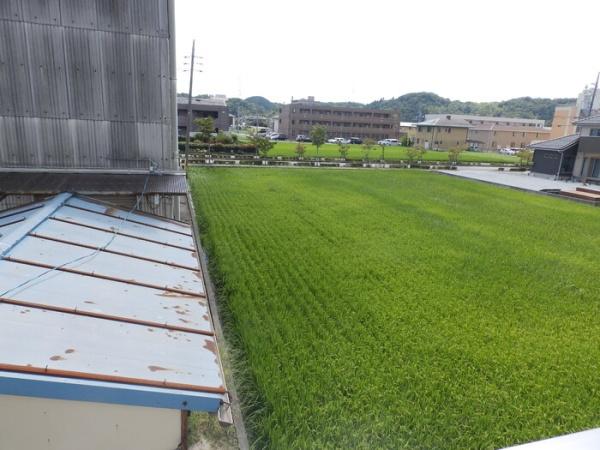 サンブロッサム　ウエスト　B棟
