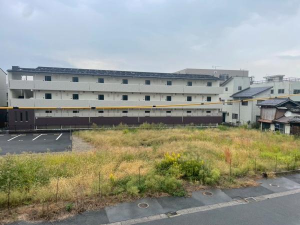 パープル(現地からの眺望)