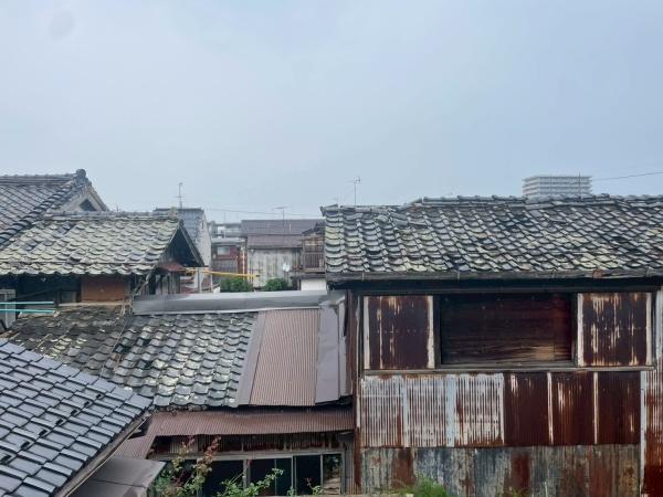 パープル(現地からの眺望)