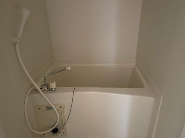 パープル(バス)