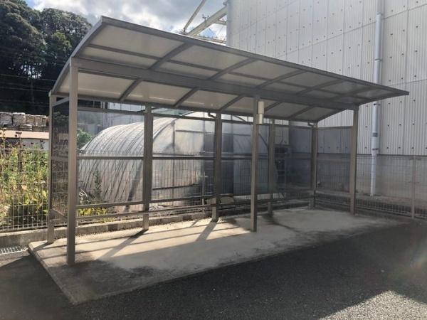 アモール
