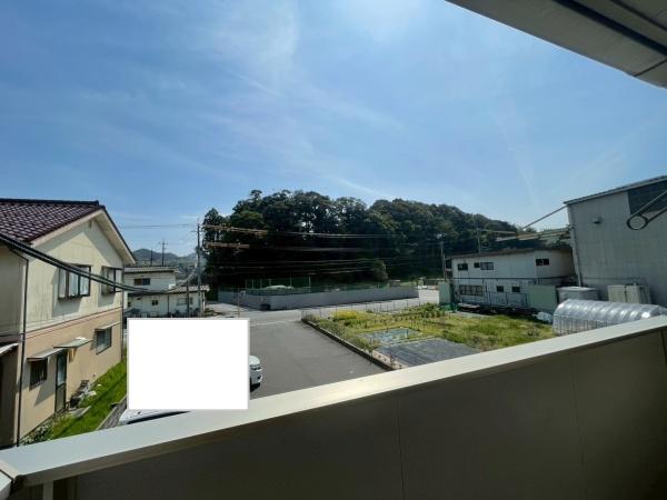 アモール