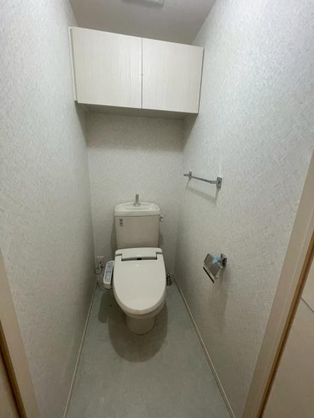 アモール