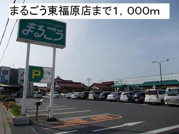 セジュールサバス　E棟(まるごう東福原店)