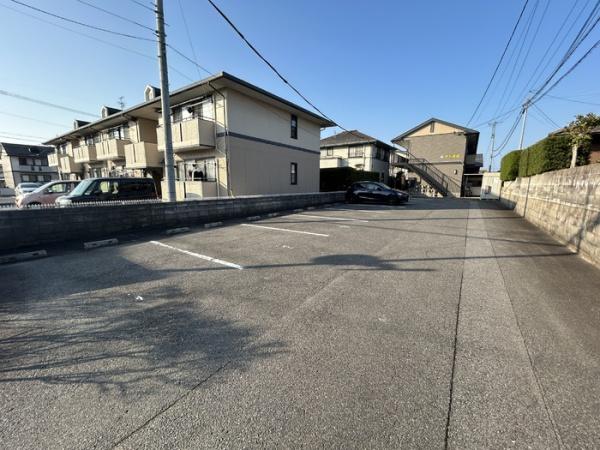 たんぽぽ