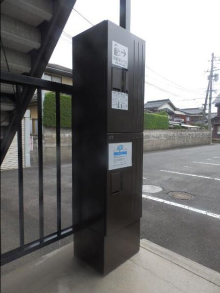 たんぽぽ