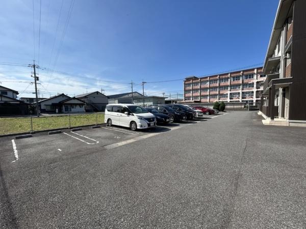 アイリスT