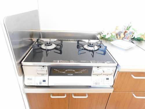 メゾン・ド・プラス