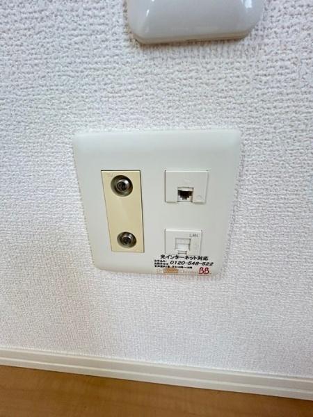 フェリース　サラ