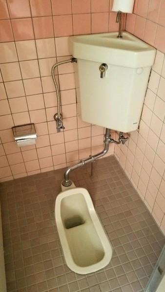 桝水テナント
