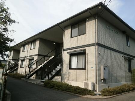 セジュールアイリス