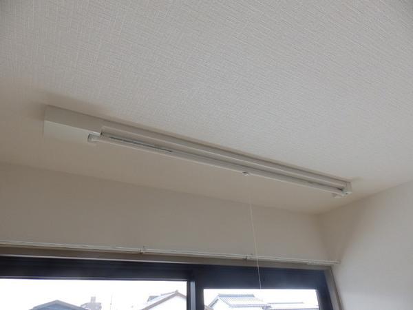 ヴェルドミール