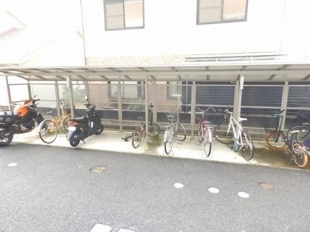 サウスグラース(その他)