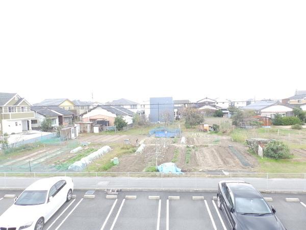 アイリスM