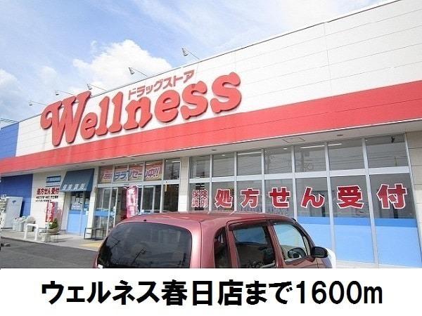 松江市浜佐田町のアパート(ウェルネス春日店)