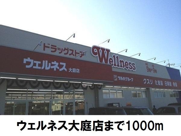 グランディオ(ドラッグストアウェルネス大庭店)