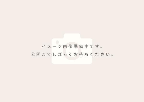 ロイヤルステージ雑賀町
