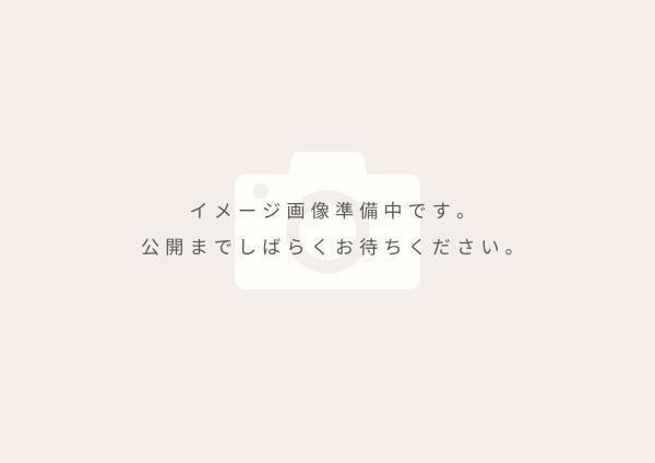 ロイヤルステージ雑賀町